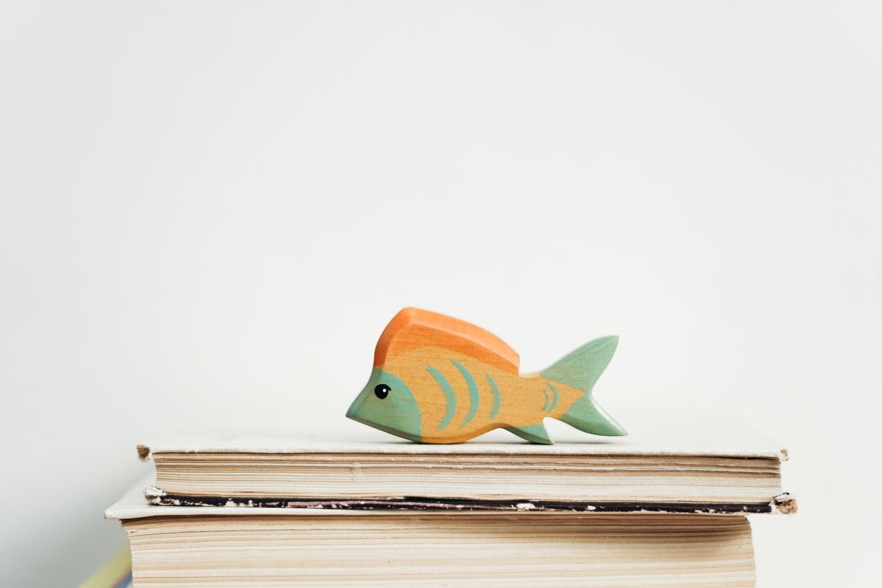 Fish