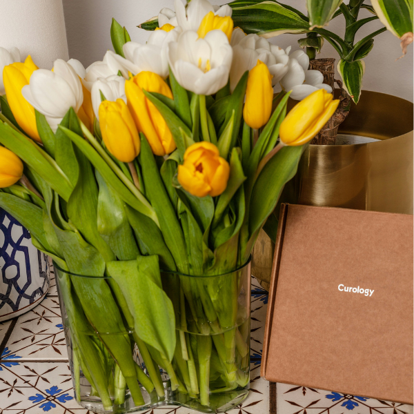 Spring surprise box