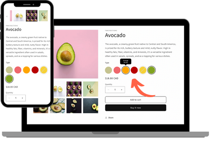 Product Blocks Demo
