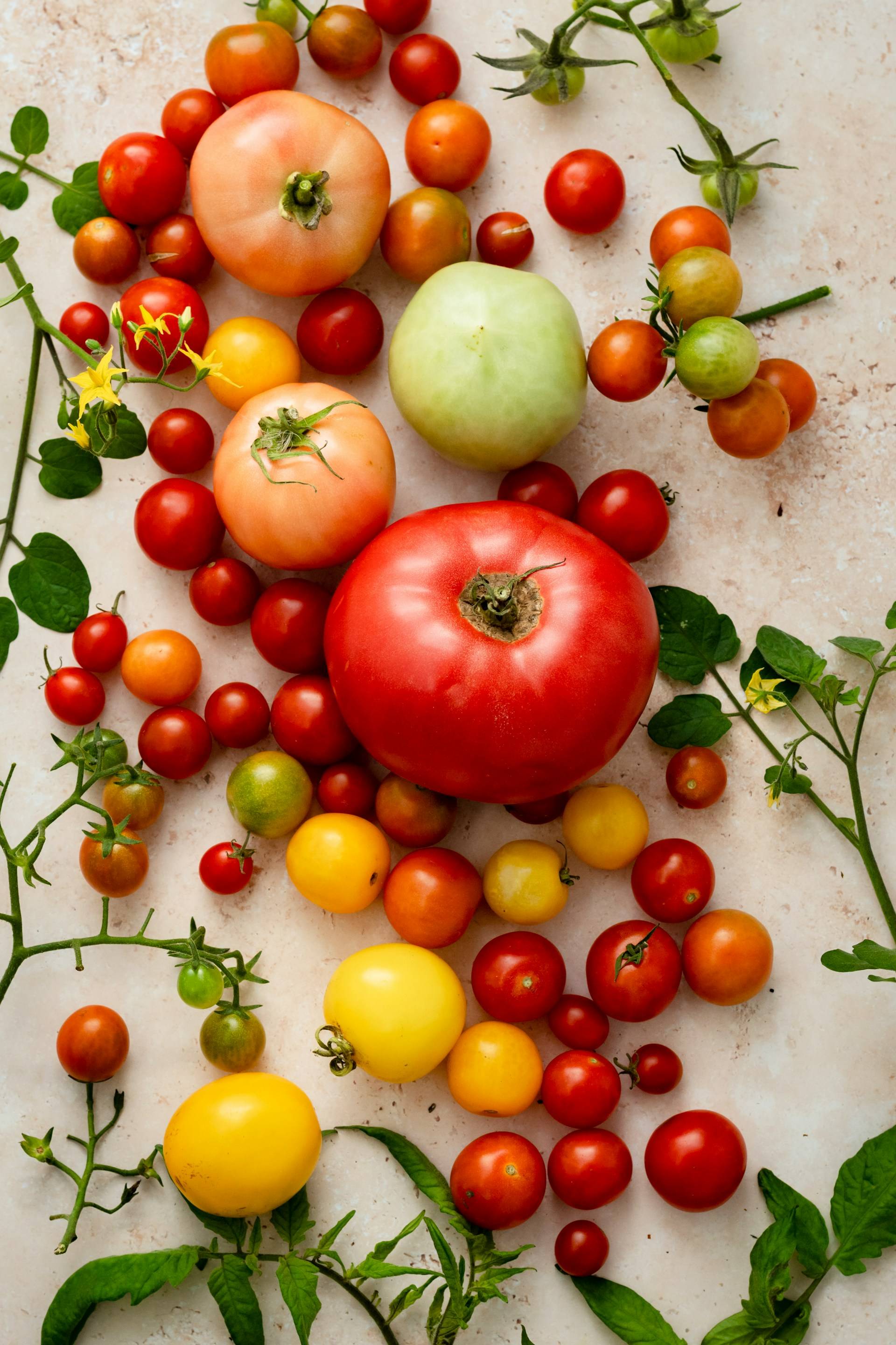 Heritage tomatoes