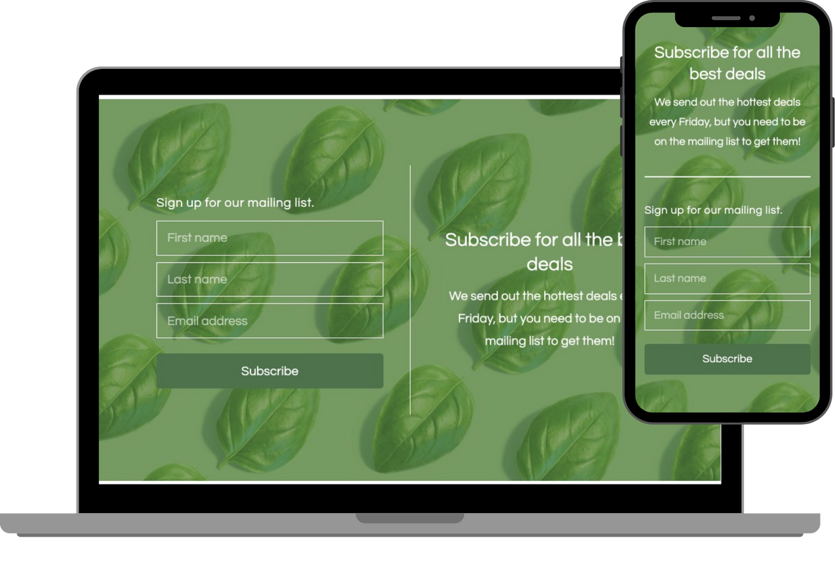 Newsletter - text
